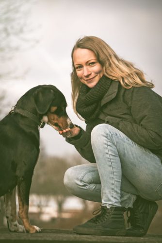 PartnerHund Hundeschule Wiefelstede im Ammerland Hundeschule Wiefelstede