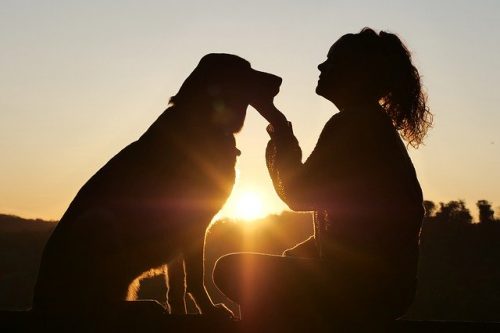 Hund Mensch Bindung