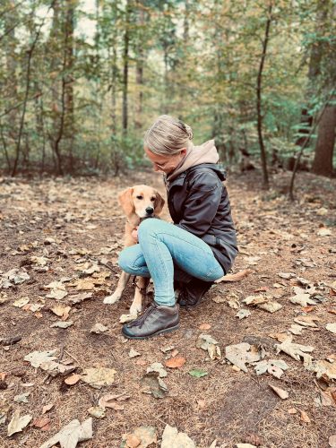 Hundeschule Wiefelstede